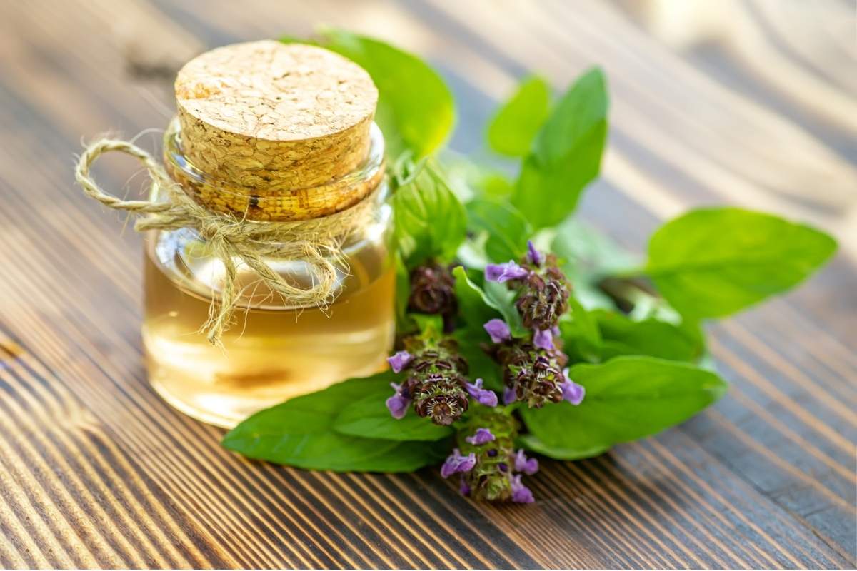 How Oregano Oil Helps Relieve Toothaches Naturally?