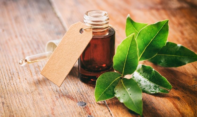 Use Tea Tree Oil for a Gum Infection